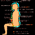 Thumbnail for version as of 12:12, 28 October 2022