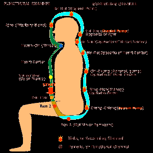 Tantra Yoga: Becoming an Instrument of Life