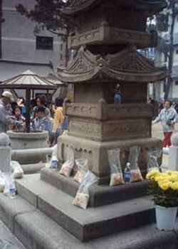 Korean Buddhism Values Education