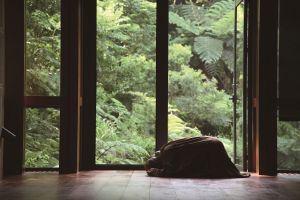 Common Buddhist Etiquette