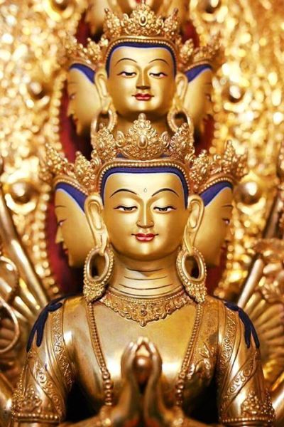 File:6d7d ty.jpg