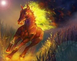 Year of the Fire Horse