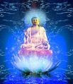 Thumbnail for version as of 14:05, 25 May 2014