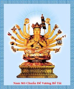 The Buddhist Perspective on Cause and Condition