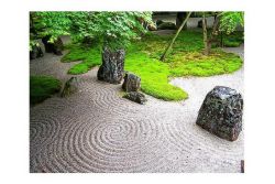The Dhyana-Samadhi Meditation Absorptions - Part 5