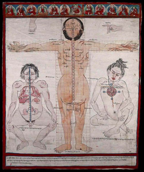 File:Drawing-of-Three-Anatomical-Figures.jpg