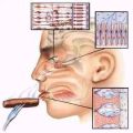 Thumbnail for version as of 13:12, 25 December 2012