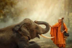 AWAKENING VS. ENLIGHTENMENT