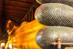 Foot fingers with Chakras (Wheels)