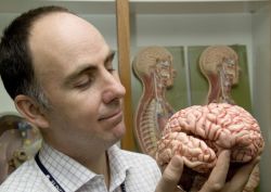 Analysis of Consciousness