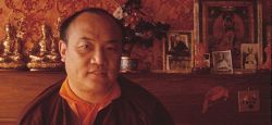 Remembering the 16th Karmapa