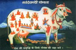 Sudhābhojana Jātaka